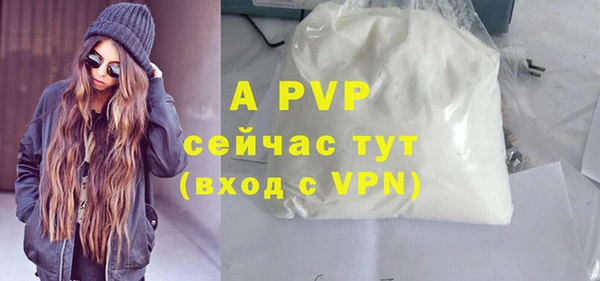 ПСИЛОЦИБИНОВЫЕ ГРИБЫ Михайлов