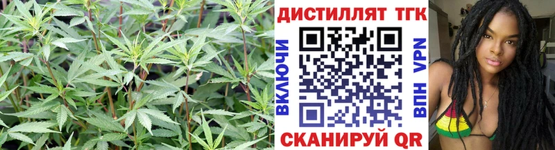 ТГК концентрат  где купить наркоту  Далматово 