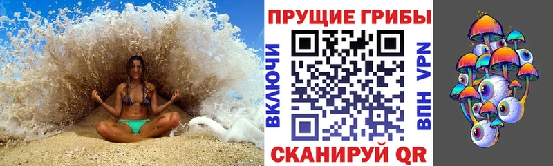 Галлюциногенные грибы MAGIC MUSHROOMS блэк спрут как зайти Далматово